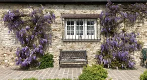 Chambre D'hôtes - Chambre - Image 3