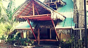 La Palapa Hut Nature Hostel - Image 5