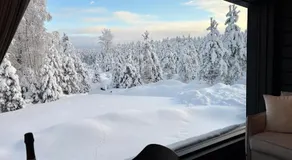 Raitola Reindeer and Husky Farm- Panorama Lodges - Image 3