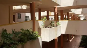 Apartamento en El Médano, Tenerife - Image 4