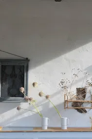 Clori Gaeta - Image 3
