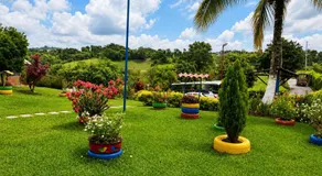 Finca Hotel Vista Palmar - Eje Cafetero - Image 4