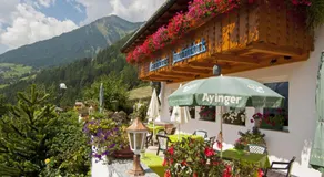 Gasthaus Jaufenblick - Image 3