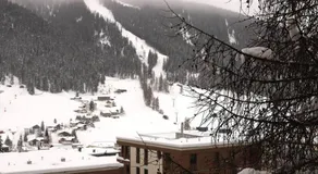 Ferienwohnung Parkareal Davos - Image 3