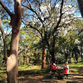 The Retreat at Coasters - Image 5