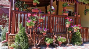 Casa Dana - Image 4