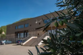 Albergue Las Ermitas - Image 3