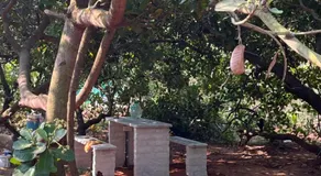 Junction Box Forest Hostel - Image 4