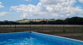 Agriturismo IL Paradiso di Berignone - Image 4