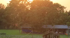 Tharu Community Homestay No 1 - Image 3
