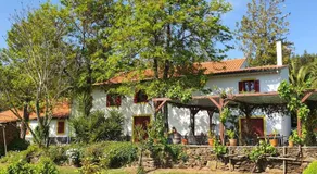Quinta Flores - Image 2