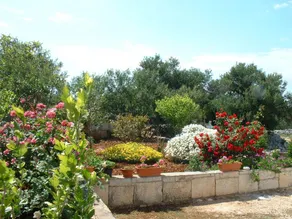 Apartment Šimi A1 Supetar, Island Brac - Image 4