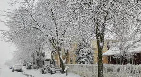 George Gardens - Image 4