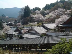 Kanko Ryokan Yamatoya - Image 5