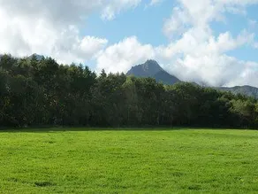 Pension Prince Edward - Image 3