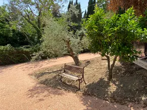 Wohnung mit Grill und Garten | Naturblick - Image 4