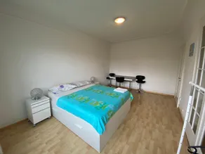 Full Guest House for You, Basel City center - Image 4