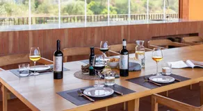 Tenute Maestrale Wine Lodge - Image 5