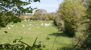 Terre et Eau Les chambres d'hotes B&B Sèvremont - Image 4