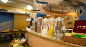 Mont-Fort Swiss Lodge - Image 4