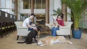 Izu-Kogen Wan Wan Paradise Condominium - Image 4