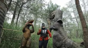Lawu Forest Camp - Image 5