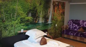 Vila Muntii Bucegi & SPA - Image 2
