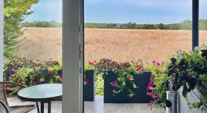 Apartamenty Molle - Image 3