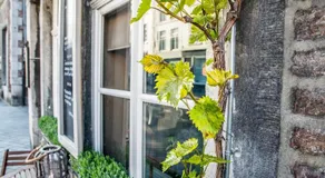 B&B Gracht 62 - Image 4
