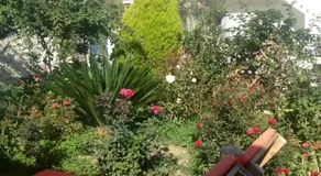 Artemisia Traditional Home - Image 5