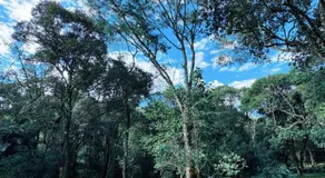 Chalé Rio das Pedras - Chalé 03 - Image 1