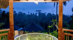 Moonlit Jungle - Image 4