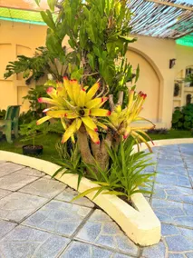 Cá Homestay Mũi Né - Image 3