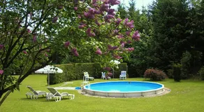Pension Pfefferdohle - Image 4