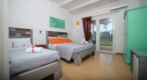 L'Ulivo e la Stella - Image 2
