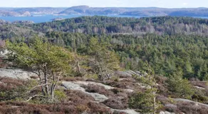 Lekanders Bär & Boende - Image 5