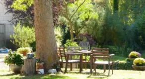 Domaine de Joreau - Image 5