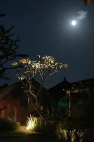 UBUD GARDEN VILLA - Image 4