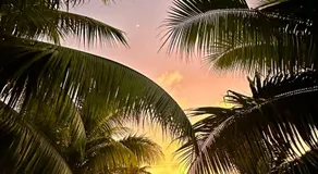 CHEZ VAIANA - Image 5