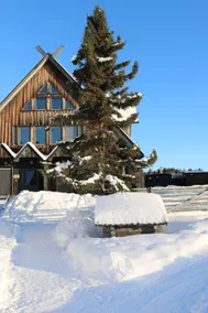 Shaman Village - Resort & Glass Igloos - Image 4