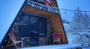 Hillside Borjomi Two chalet - Image 3