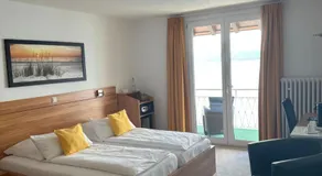 Hotel Seegarten - Image 2