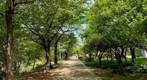 Seongsu#3beds#10min seongsu station#2min walk from yongdap station line2 #local food hot spot#DDP#KSPO - Image 2