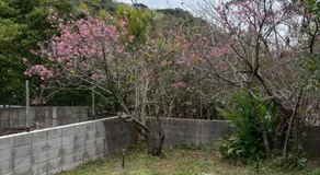 Kunigami District - House - Vacation STAY 14342v - Image 5