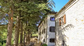 Il Palazzo Ridracoli - Image 4