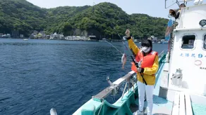 Iso no Yado Minshuku Minematsu - Image 1