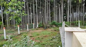 SHI's Bhairavi Peaceful 2bhk villa - - On the way 2 isha-Adiyogi , Maruthamalai - Image 4