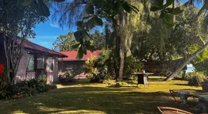 Kukuriaz Fare - Image 4