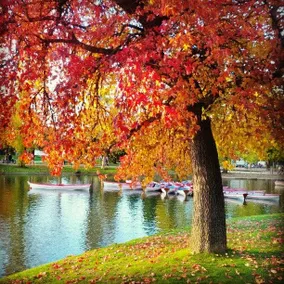 Beautiful apt near the BOIS DE VINCENNES - Image 5