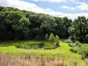 Blackthorn Gate - Image 4